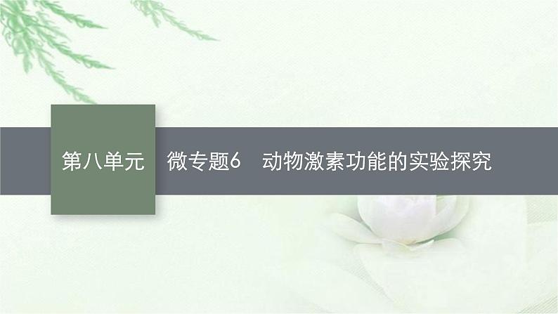 人教版2024届高考生物一轮复习微专题6动物激素功能的实验探究教学课件01