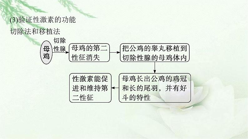 人教版2024届高考生物一轮复习微专题6动物激素功能的实验探究教学课件06