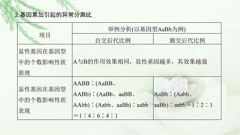 人教版2024届高考生物一轮复习微专题6自由组合定律的异常分离比及题型训练教学课件第4页