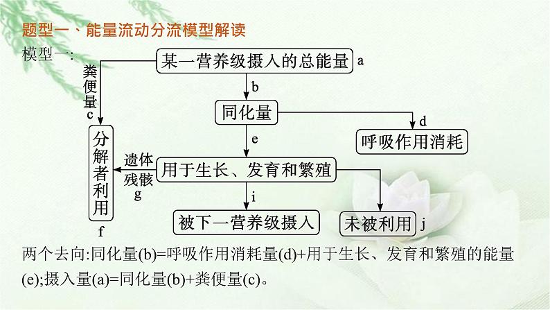 人教版2024届高考生物一轮复习微专题7能量流动分流模型解读及相关计算教学课件第2页