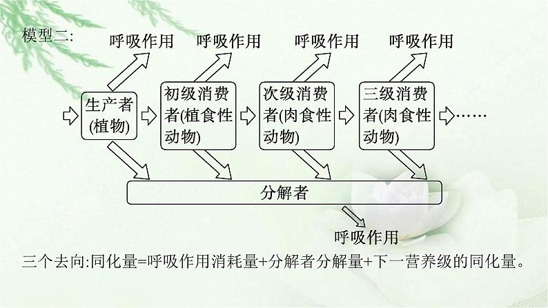 人教版2024届高考生物一轮复习微专题7能量流动分流模型解读及相关计算教学课件第3页