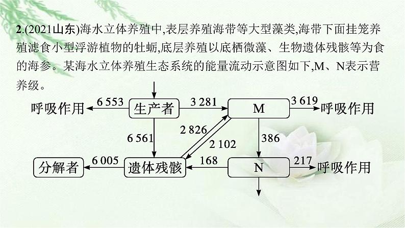 人教版2024届高考生物一轮复习微专题7能量流动分流模型解读及相关计算教学课件第8页