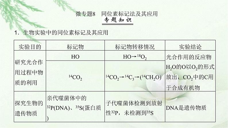 人教版2024届高考生物一轮复习微专题8同位素标记法及其应用教学课件第2页