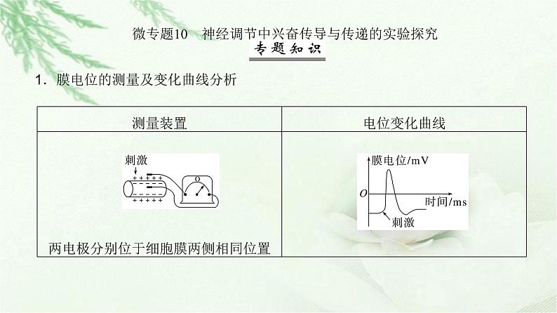 人教版2024届高考生物一轮复习微专题10神经调节中兴奋传导与传递的实验探究教学课件02