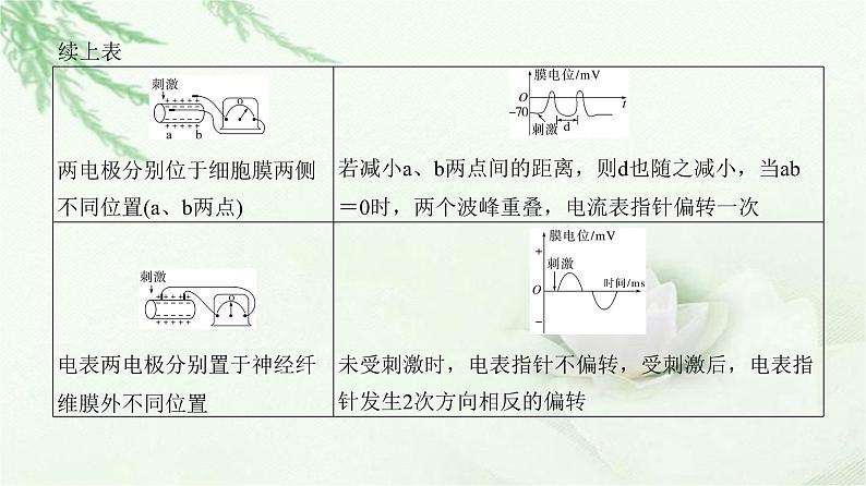 人教版2024届高考生物一轮复习微专题10神经调节中兴奋传导与传递的实验探究教学课件03