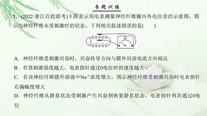 人教版2024届高考生物一轮复习微专题10神经调节中兴奋传导与传递的实验探究教学课件08