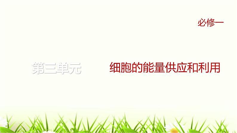 人教版2024届高考生物一轮复习实验专题2对照实验和对比实验教学课件第1页