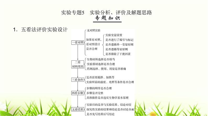 人教版2024届高考生物一轮复习实验专题5实验分析、评价及解题思路教学课件第2页