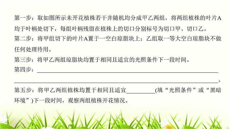 人教版2024届高考生物一轮复习实验专题5实验分析、评价及解题思路教学课件第7页