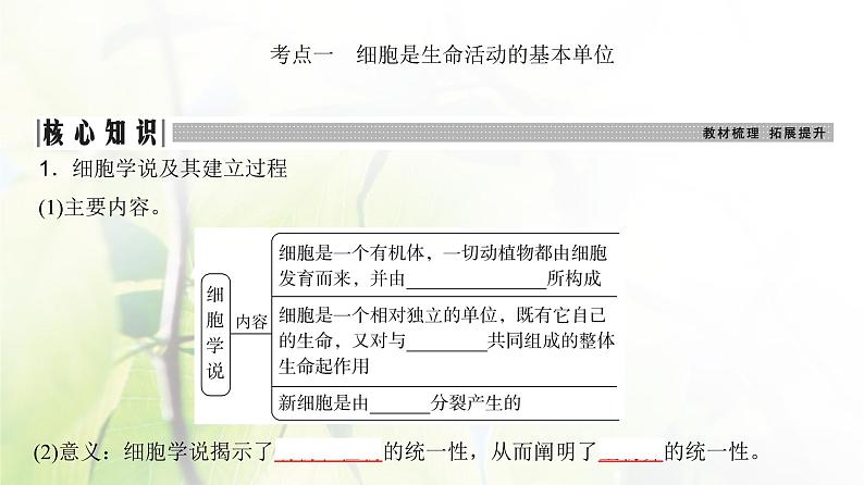 人教版2024届高考生物一轮复习走近细胞教学课件第3页