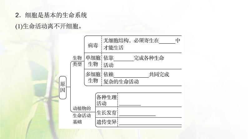 人教版2024届高考生物一轮复习走近细胞教学课件第5页