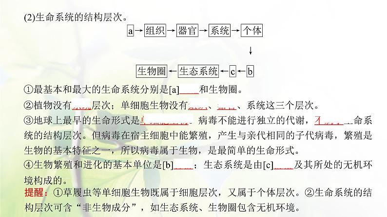 人教版2024届高考生物一轮复习走近细胞教学课件第6页