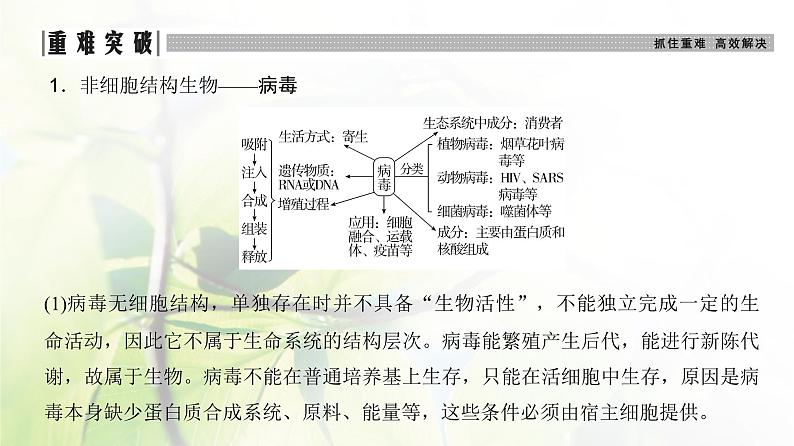 人教版2024届高考生物一轮复习走近细胞教学课件第7页