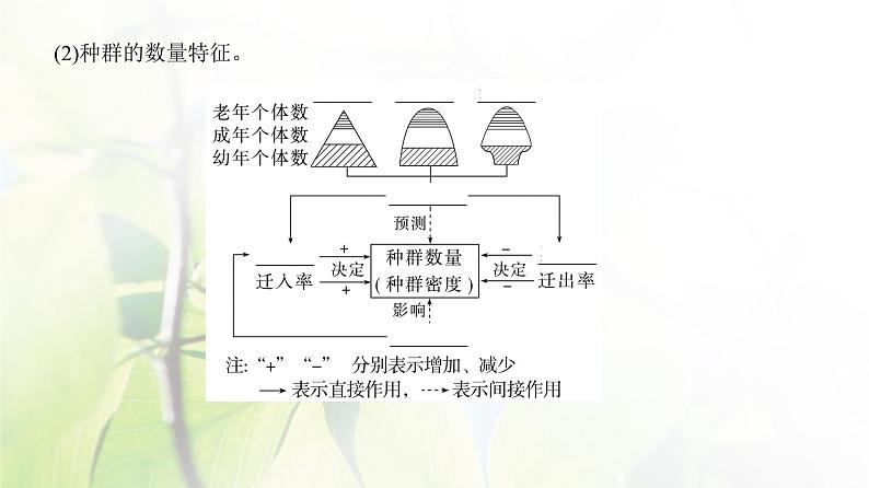 人教版2024届高考生物一轮复习种群及其动态教学课件第4页