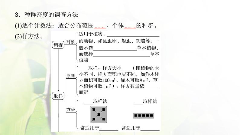 人教版2024届高考生物一轮复习种群及其动态教学课件第7页