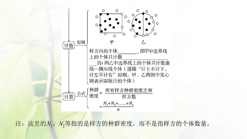 人教版2024届高考生物一轮复习种群及其动态教学课件第8页