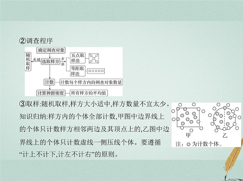 人教版2024届高考生物一轮复习种群及其动态教学课件 (2)第6页