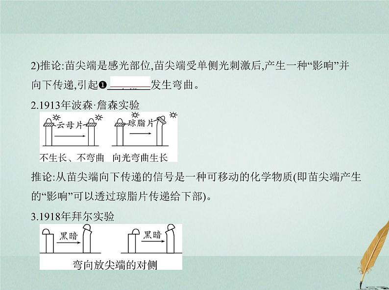 人教版2024届高考生物一轮复习植物生命活动的调节教学课件第3页