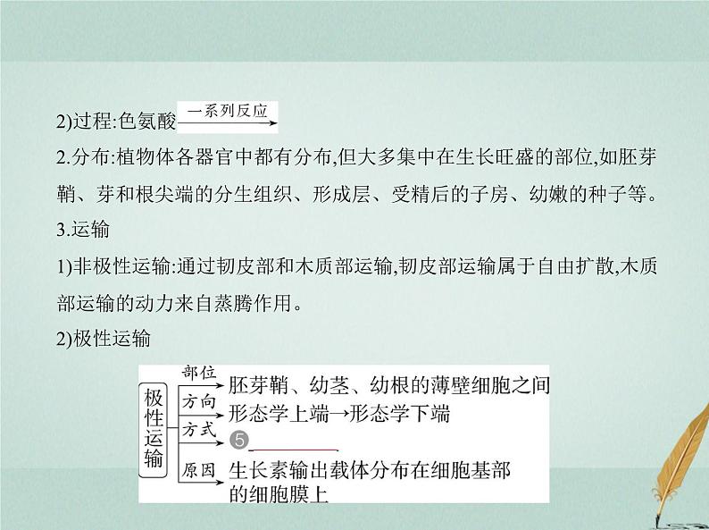 人教版2024届高考生物一轮复习植物生命活动的调节教学课件第7页