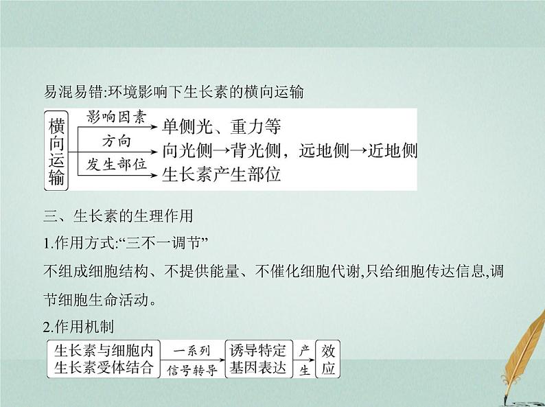 人教版2024届高考生物一轮复习植物生命活动的调节教学课件第8页