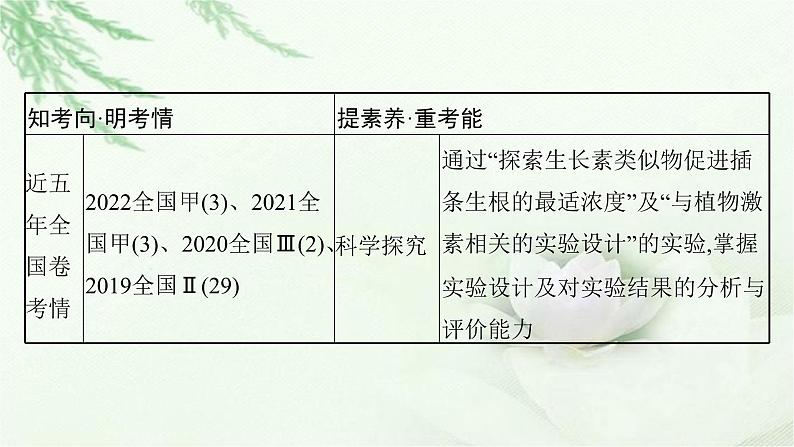 人教版2024届高考生物一轮复习植物的激素调节教学课件第4页