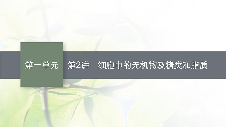 人教版2024届高考生物一轮复习细胞中的无机物及糖类和脂质教学课件第1页