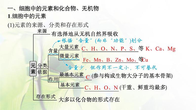 人教版2024届高考生物一轮复习细胞中的无机物及糖类和脂质教学课件第5页