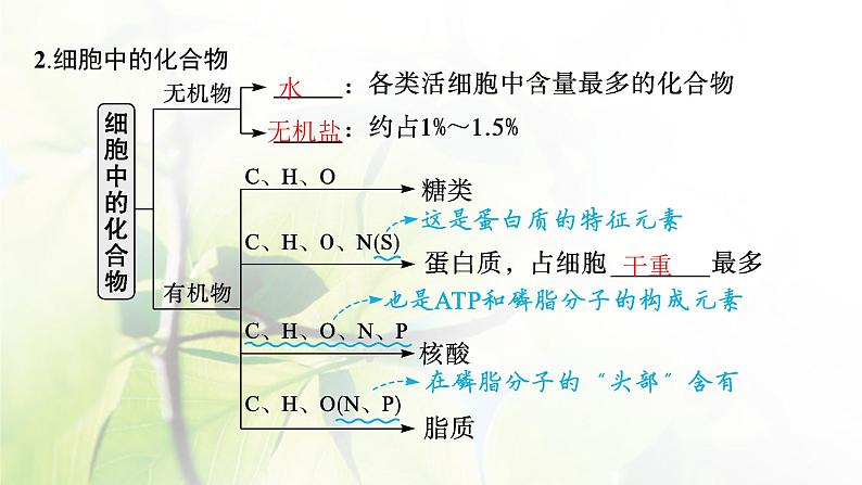 人教版2024届高考生物一轮复习细胞中的无机物及糖类和脂质教学课件第7页