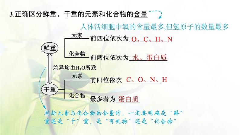 人教版2024届高考生物一轮复习细胞中的无机物及糖类和脂质教学课件第8页