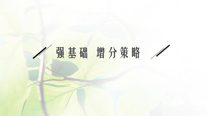 人教版2024届高考生物一轮复习细胞膜与细胞核教学课件第4页