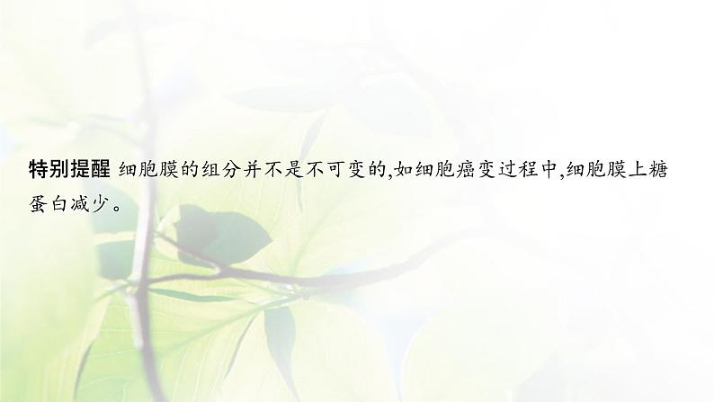 人教版2024届高考生物一轮复习细胞膜与细胞核教学课件第7页