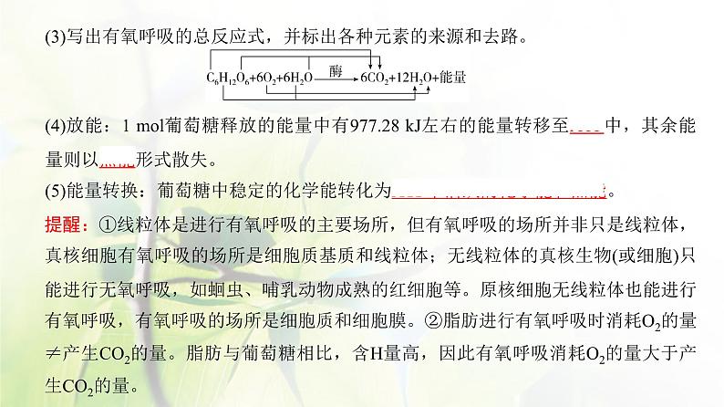 人教版2024届高考生物一轮复习细胞呼吸的原理和应用教学课件第5页