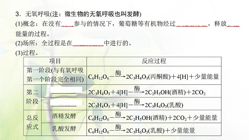 人教版2024届高考生物一轮复习细胞呼吸的原理和应用教学课件第6页