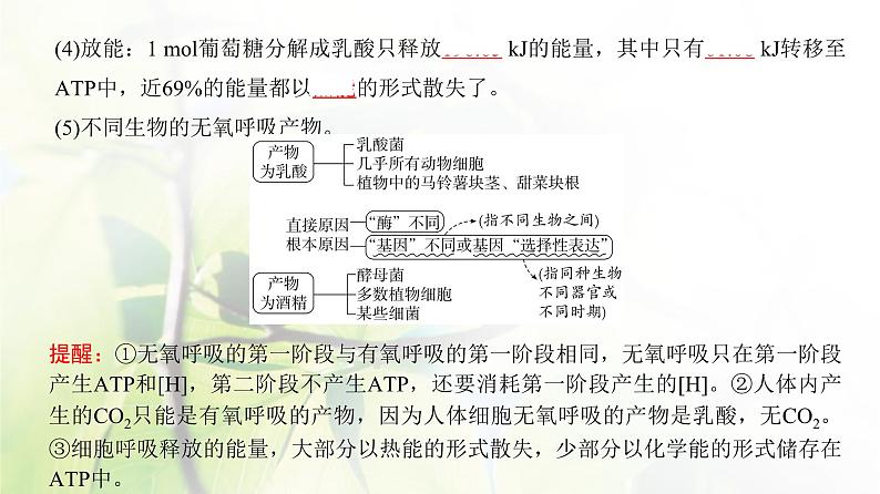 人教版2024届高考生物一轮复习细胞呼吸的原理和应用教学课件第7页