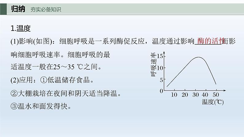 人教版2024届高考生物一轮复习细胞呼吸的影响因素及其应用教学课件第3页