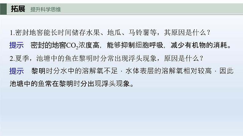 人教版2024届高考生物一轮复习细胞呼吸的影响因素及其应用教学课件08