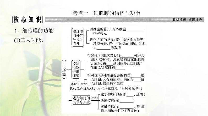 人教版2024届高考生物一轮复习细胞膜与细胞核的结构和功能教学课件03