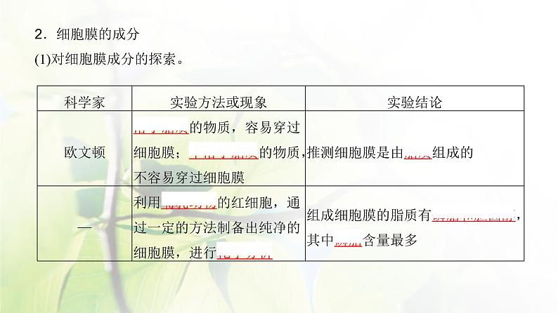 人教版2024届高考生物一轮复习细胞膜与细胞核的结构和功能教学课件05