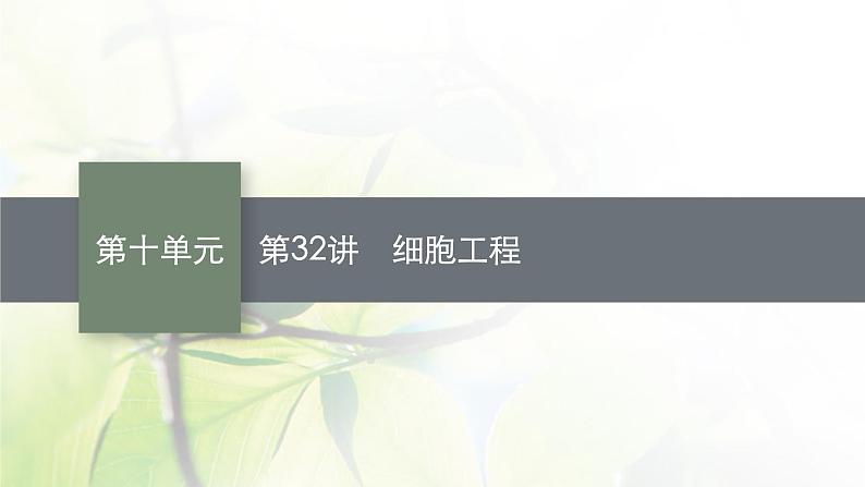 人教版2024届高考生物一轮复习细胞工程教学课件第1页