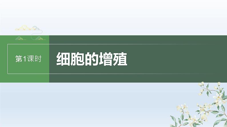 人教版2024届高考生物一轮复习细胞的增殖教学课件第1页