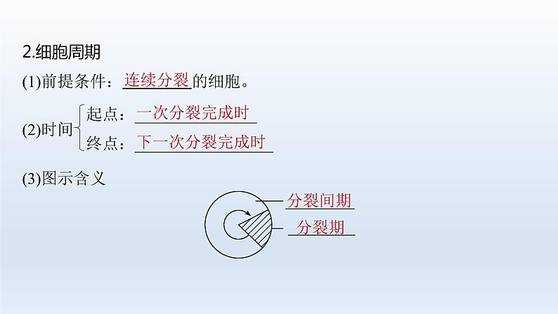 人教版2024届高考生物一轮复习细胞的增殖教学课件第6页