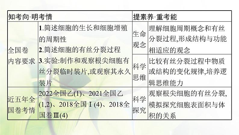 人教版2024届高考生物一轮复习细胞的增殖教学课件 (2)第3页