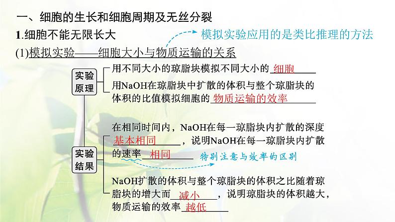 人教版2024届高考生物一轮复习细胞的增殖教学课件 (2)第5页