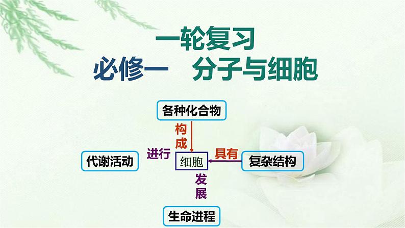 人教版2024届高考生物一轮复习细胞的物质输入和输出课件教学课件第1页