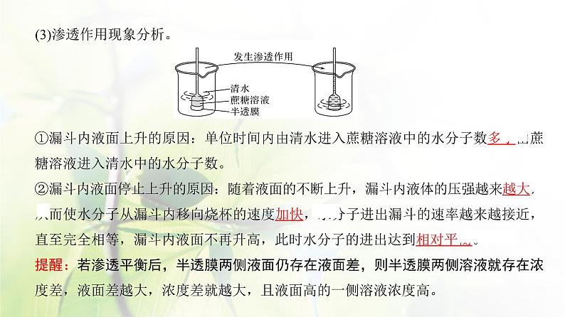 人教版2024届高考生物一轮复习细胞的物质输入和输出教学课件第4页