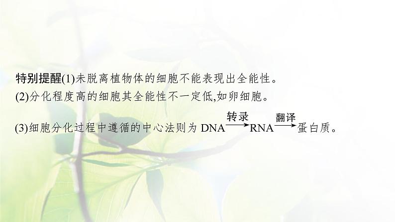 人教版2024届高考生物一轮复习细胞的分化、衰老、凋亡与癌变教学课件第8页