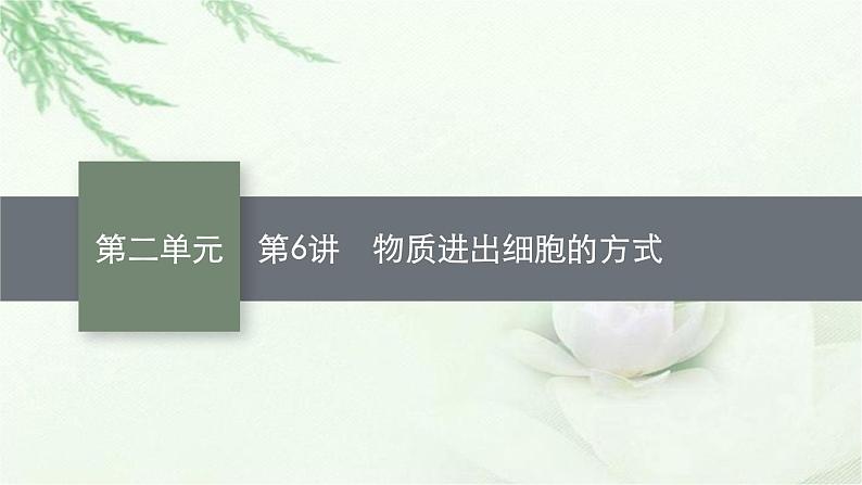 人教版2024届高考生物一轮复习物质进出细胞的方式教学课件第1页