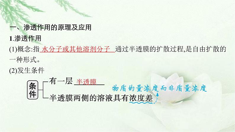人教版2024届高考生物一轮复习物质进出细胞的方式教学课件第5页