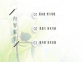 人教版2024届高考生物一轮复习细胞的多样性、统一性(含病毒)教学课件