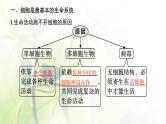 人教版2024届高考生物一轮复习细胞的多样性、统一性(含病毒)教学课件
